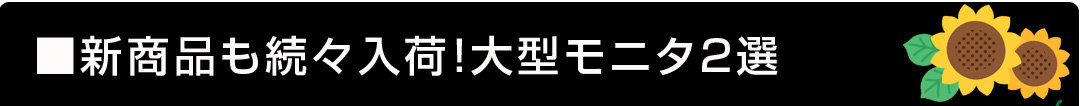 決算前の大放出セール!