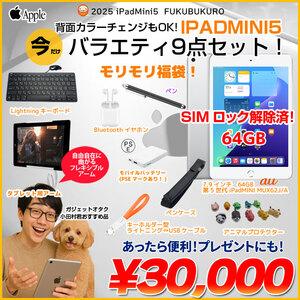 【iPadMini5 便利に使える付属品付もりもり9点福袋 】Apple iPad mini5 MUX62J/A A2124 SIMロック解除済 64GB カラー iPad OS18 シルバー]:アウトレット