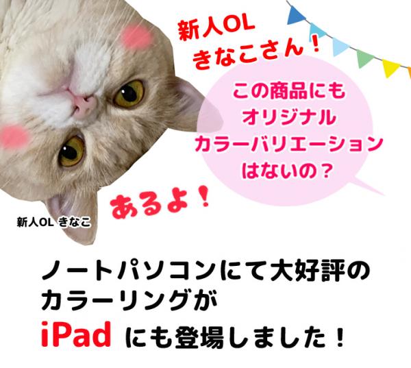 Apple iPad Air2 MGGX2J/A Retina au Wi-Fi+Cellular 16GB指紋認証 選べるオリジナルカラー [ A8X 16GB(SSD) 9.7インチ iPadOS iPadOS 15.8.3  スペースグレイ ] :良品 中古sub_image9