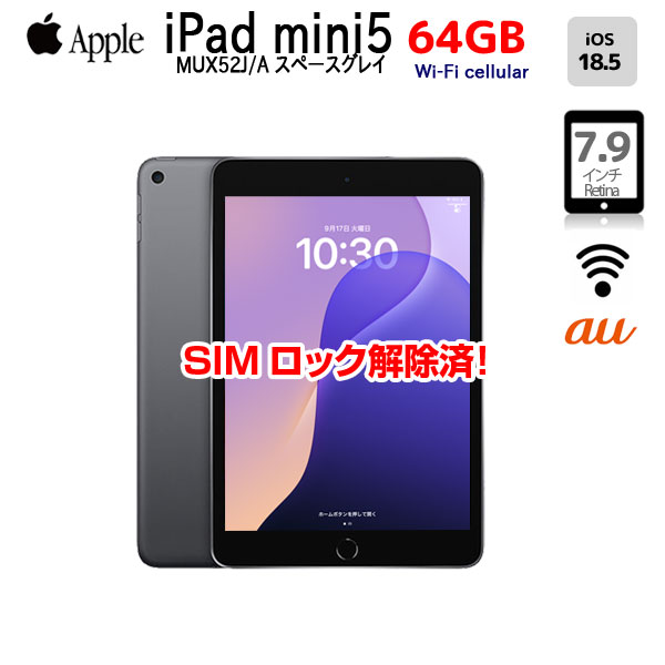 【今だけLightningキーボード付】Apple iPad mini5 MUX52J/A A2124 第5世代 au  Wi-Fi-cel 64GB[ A12 SSD64GB 7.9 iPad OS18スペースグレイ ] :良品 中古sub_image1