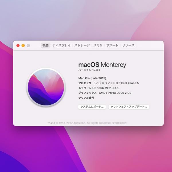 Apple Mac Pro ME253J/A A1481 Late2013 選べるOS Monterey or Bigsur[Xeon E5-1620V2 QC-3.7GHZ  メモリ12G　SSD256GB] :良品sub_image6