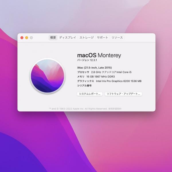 Apple iMac 21.5inch MK442J/A A1418 Late 2015 一体型 選べるOS Monterey or Bigsur [Core i5 5575R 16G HDD1TB 無線 BT カメラ 21.5インチ ]:良品sub_image8