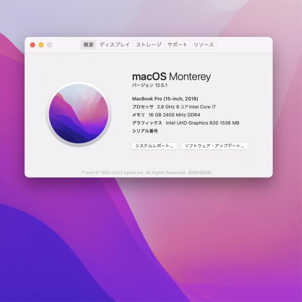 Apple MacBook Pro 15.4inch MR972J/A  A1990 2018  選べるOS TouchBar TouchID [core i7 6コア 2.6GHz 16G SSD512GB 無線 BT カメラ 15.4インチ 純箱 ] :美品sub_image9