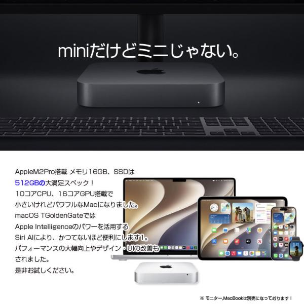 【中古パソコン】Apple Mac mini MNH73J/A A2686 M2 Pro 2023 小型デスク 選べるOS [Apple M2 Pro 10コア メモリ16GB SSD512GB 無線 BT シルバー 純箱 ]:美品sub_image3