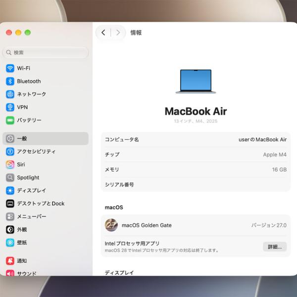 【今だけTYPE-Cハブ】【中古パソコン】Apple MacBook Air 13.6inch MC6T4J/A A3240 2025 TouchID [Apple M4 10コア メモリ16GB SSD256GB 無線 BT カメラ 13.6型 Sky Blue ] :美品sub_image7
