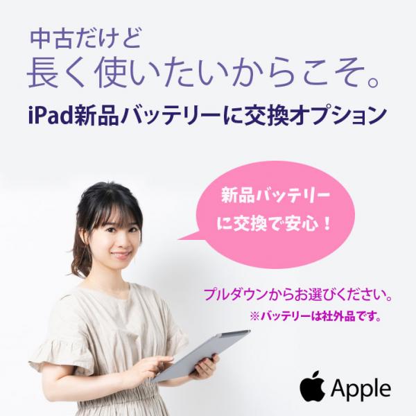 【SIMロック解除済】Apple iPad mini5 MUXD2J/A A2124 第5世代 au Wi-Fi+Cellular 256GB 2019年春モデル 選べるカラー [ A12 SSD256GB 7.9 OS18　シルバー ] :アウトレットsub_image7