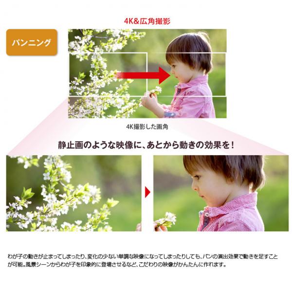 Panasonic HC-VX980M デジタル4Kビデオカメラ 光学20倍ズーム 829万画素 1/2.3型MOSセンサー 64GBメモリ　あとから補正　バッテリー　HDMI　ブラウンsub_image6