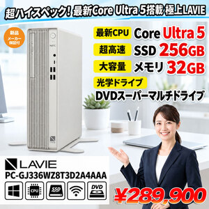 NEC LAVIE Direct DT PC-GJ336WZ8T3D2A4AAA AIパソコン 省スペースデスク 2画面同時出力 Win11 [Core Ultra 5  メモリ32GB SSD256GB　マルチ]:新品