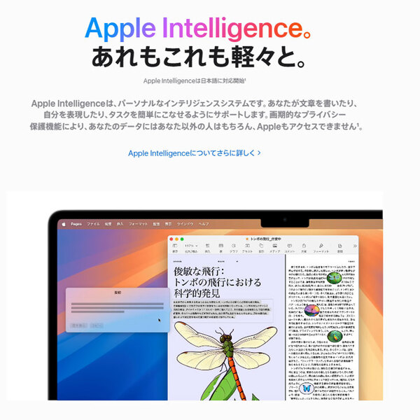 【中古パソコン】Apple MacBook Air 13.6inch MC6U4J/A A3240 2025　USキー TouchID [Apple M4 10コア 16GB SSD512GB 無線 BT カメラ 13.6型 Sky Blue 純箱 ] :美品sub_image5