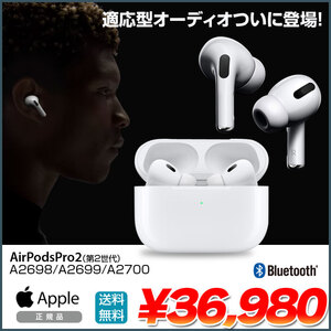 Apple AirPodsPro2 第2世代　 A2698 A2699 A2700 MQD83J/A Bluetooth ノイズキャンセリング対応　H2 イヤホン