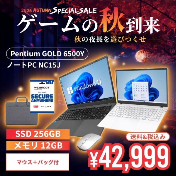 【セール商品】2026オータムセット ノートパソコン PASOUL NC15J [マットグレイ/ホワイト] 15.6インチワイド Win11 Intel Pentium GOLD 6500Y NVMe
