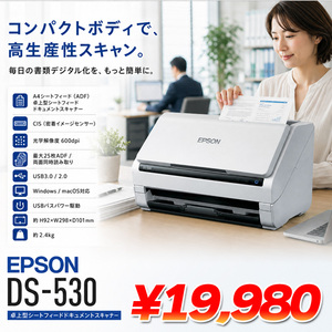 EPSON エプソン DS-530 A4シートフィードスキャナ USBバスパワー駆動 ADF25枚搭載 光学600dpi 両面同時読取対応:良品