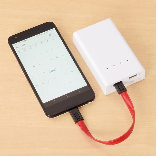 ETSUMI エツミ  E-6863 (レッド) キーホルダーケーブルα MicroUSB for Androidsub_image3
