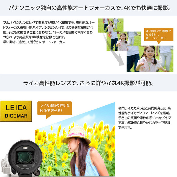 Panasonic HC-VX980M デジタル4Kビデオカメラ 光学20倍ズーム 829万画素 1/2.3型MOSセンサー 64GBメモリ　あとから補正　バッテリー　HDMI　ブラウンsub_image4