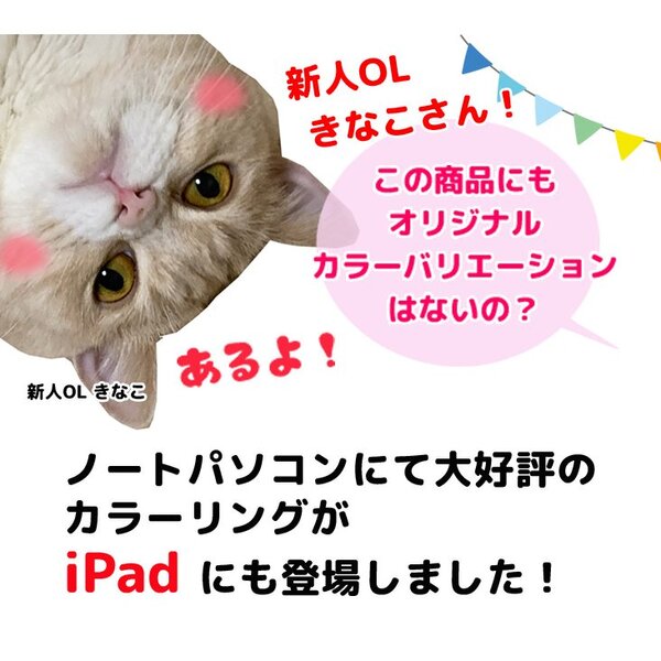 Apple iPad mini2 ME814J/A A1490 au Wi-Fi+Cel 16GB 選べるカラー [ A7 SSD16GB 7.9インチ OS 12.5.7 シルバー] :アウトレットsub_image2