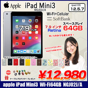 【送料無料】Apple iPad Mini3 MGJ02J/A A1600 Retina SoftBank Wi-Fi+Cel 64GB [ A7 64GB 7.9 iPadOS 12.5.7 スペースグレイ ] :良品