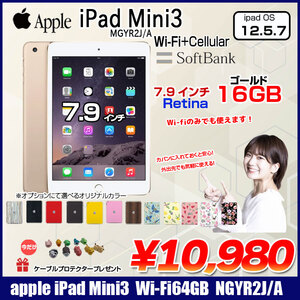 【送料無料】Apple iPad Mini3 MGYR2J/A A1600 Retina SoftBank Wi-Fi+Cel 16GB [ A7 16GB 7.9 iPadOS 12.5.7 ゴールド ] :良品