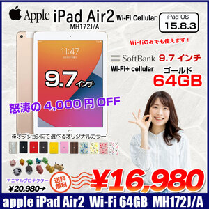 Apple iPad Air2 MH172J/A A1567 Retina SoftBank Wi-Fi+Cel 64GB [ A8X 64GB 9.7 iPadOS 15.8.3 ゴールド ] :良品