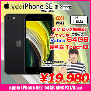 【SIMロック解除済】Apple iPhone SE(第2世代)MHGP3J/A A2296 au 本体 64GB Retina TouchID [A13 64GB 4.7インチ OS18 ブラック]:良品