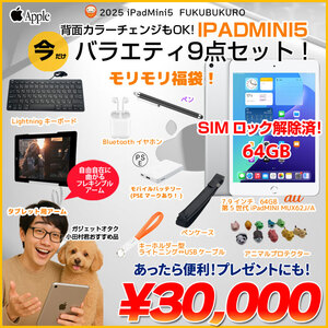 【iPadMini5 便利に使える付属品付もりもり9点福袋 】Apple iPad mini5 MUX62J/A A2124 SIMロック解除済 64GB カラー iPad OS18 シルバー]:アウトレット
