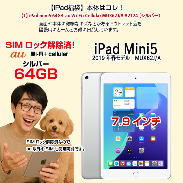 【iPadMini5 便利に使える付属品付もりもり9点福袋 】Apple iPad mini5 MUX62J/A A2124 SIMロック解除済 64GB カラー iPad OS18 シルバー]:アウトレットsub_image2