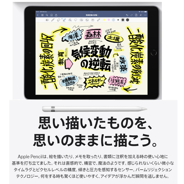 Apple アップルペンシル 純正 Apple Pencil 第1世代 MK0C2J/A A1603  中古 美品sub_image3