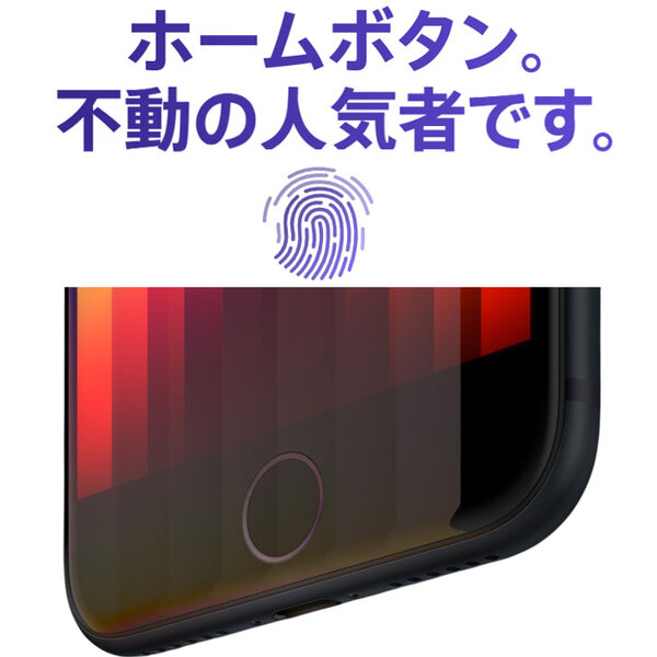 【SIMロック解除済】Apple iPhone SE(第3世代)MMYC3J/A A2782 au スマートフォン 本体 64GB RetinaHD TouchID [A15Bionic 64GB 4.7インチ OS18.2 ミッドナイト]:アウトレットsub_image6