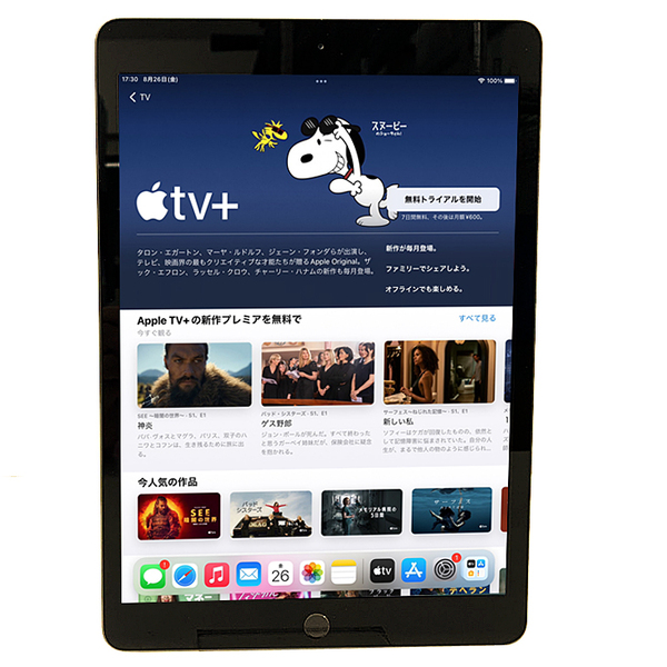 Apple iPad7 第7世代 MW742J/A Wi-Fi 2019 32GB A2197 選べるカラー [A10 32GB(SSD) Retina 10.2 iPadOS 17 スペースグレイ] :訳あり品(カメラ▲)sub_image3