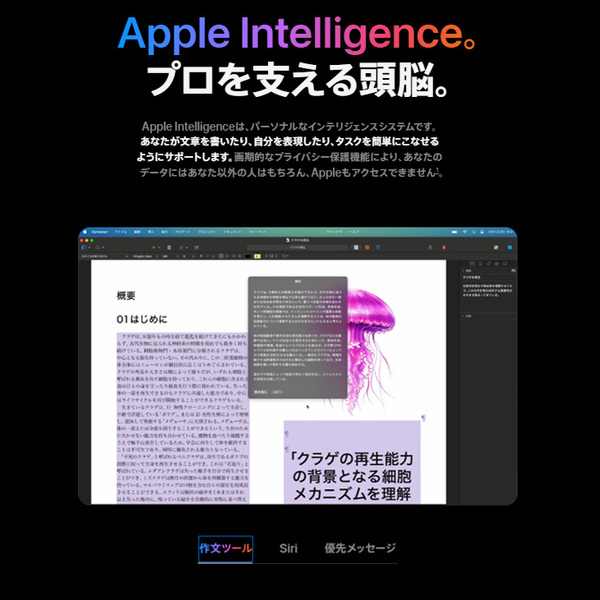 Apple MacBook Pro 14inch MW2U3J/A A3112 2024 Sequoia [Apple M4 10コアCPU 10コアGPU 16GB 512GB 無線 BT カメラ 14型 Space Black 純箱] :美品sub_image2