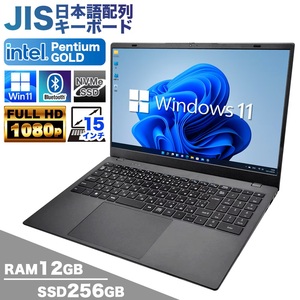 【新品ノートパソコン】PASOUL NC15J マットグレイ 15.6  Win11 Pentium GOLD 6500Y SSD256GB メモリ12GB カメラ フルHD Type-C 日本語キー 新品