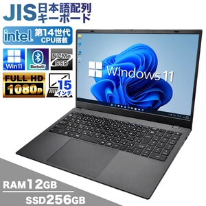 【新品】ノートパソコン PASOUL NC15J 15.6インチワイド Windows11 第14世代 Intel TwinLake N150 SSD256GB メモリ12GB Type-C