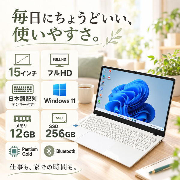 ノートパソコン PASOUL NC15J [ホワイト] 15.6インチワイド Win11 Intel Pentium GOLD 6500Y NVMe PCIe3.0 SSD256GB メモリ12GBsub_image2