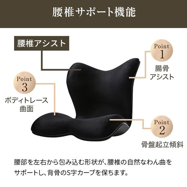 【新品未使用】正規品　MTG　骨盤　姿勢ケア　Style PREMIUM DX YA-AM03A スタイルプレミアム デラックス リッチブラック 座るだけで理想の姿勢sub_image5