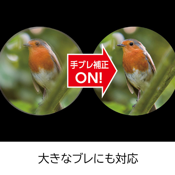 【レンタル】1泊2日～ケンコー 10倍 防振双眼鏡 VC Smart 10×30WP 倍率10倍 対物レンズ口径30mm 手振れ補正機能 防水設計 単3型乾電池使用sub_image2